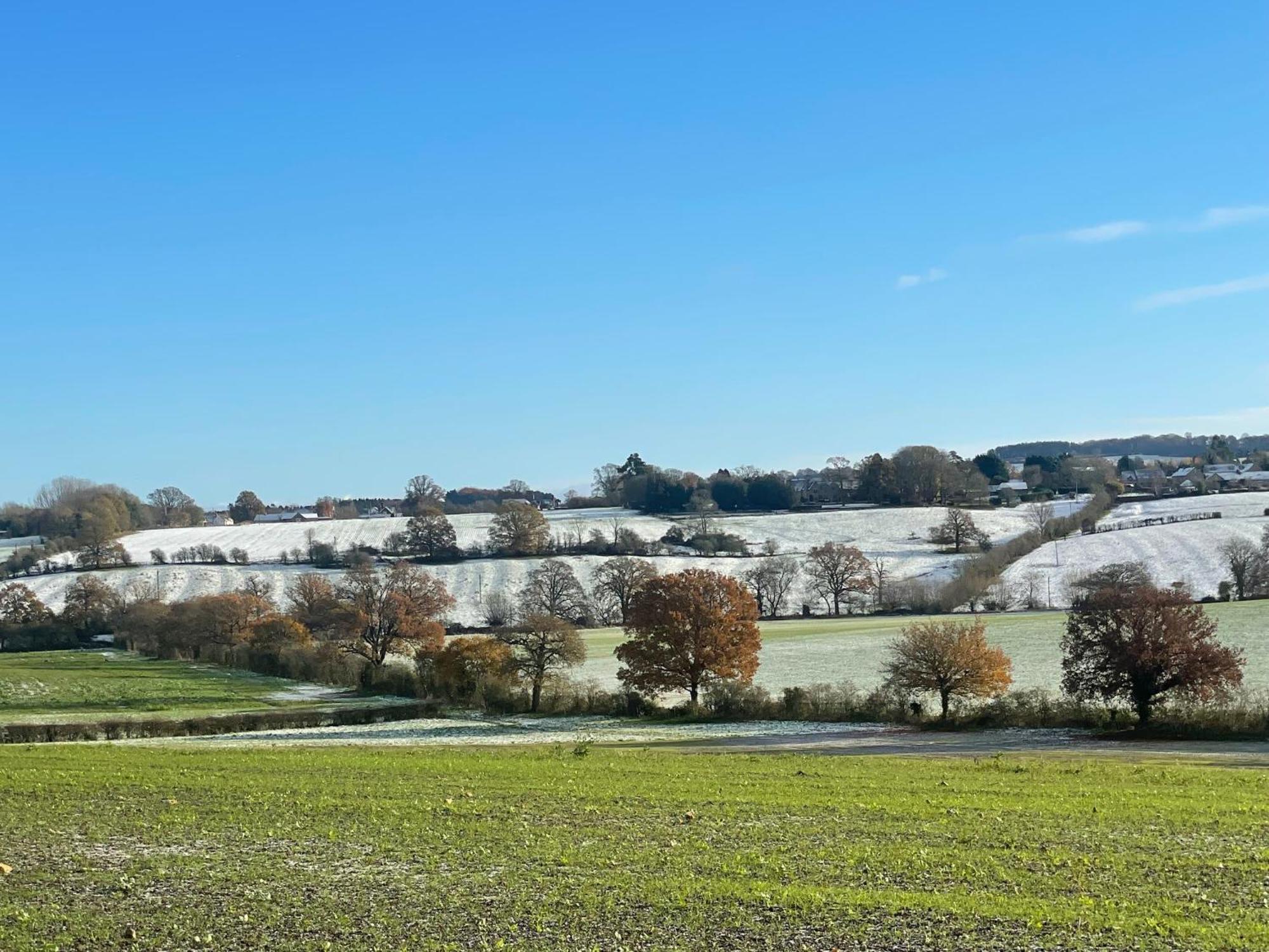 Bank Cottage Studio - Luxury Cotswolds Haven For Two Shipston-on-Stour Extérieur photo